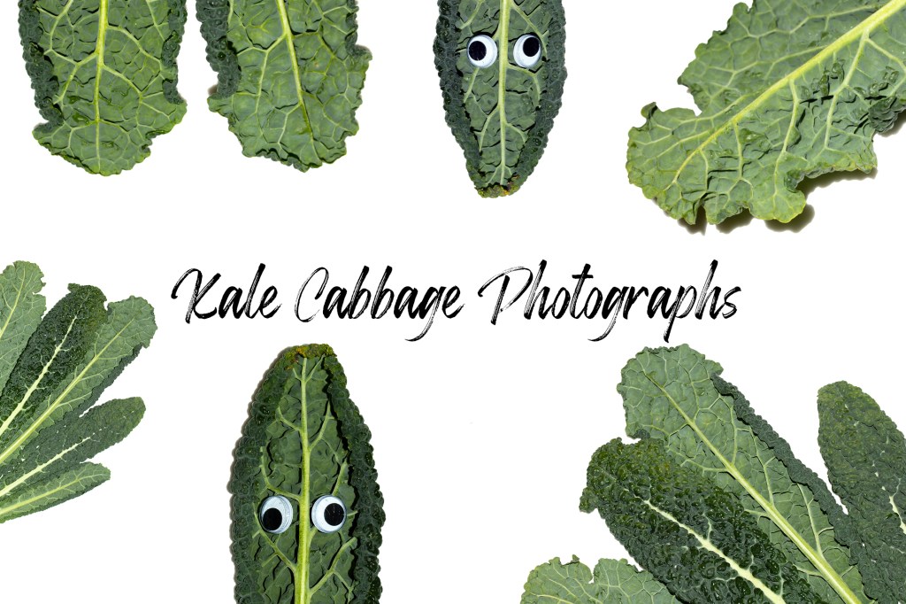 Funny kale cabbage leaf photography background collection download by Squeeb Creative