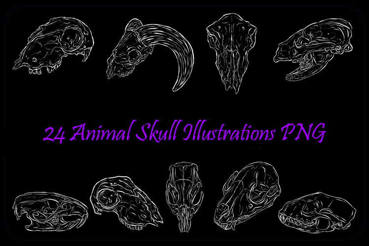 White Line Art Animal Skulls PNG Bundle For Halloween by Squeeb Creative