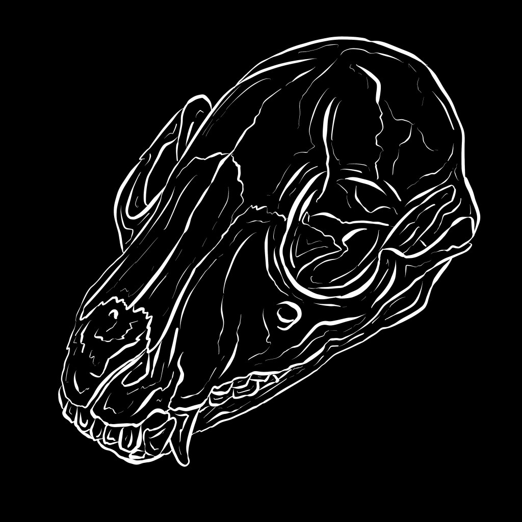 White Line Art Animal Skulls PNG Bundle For Halloween by Squeeb Creative