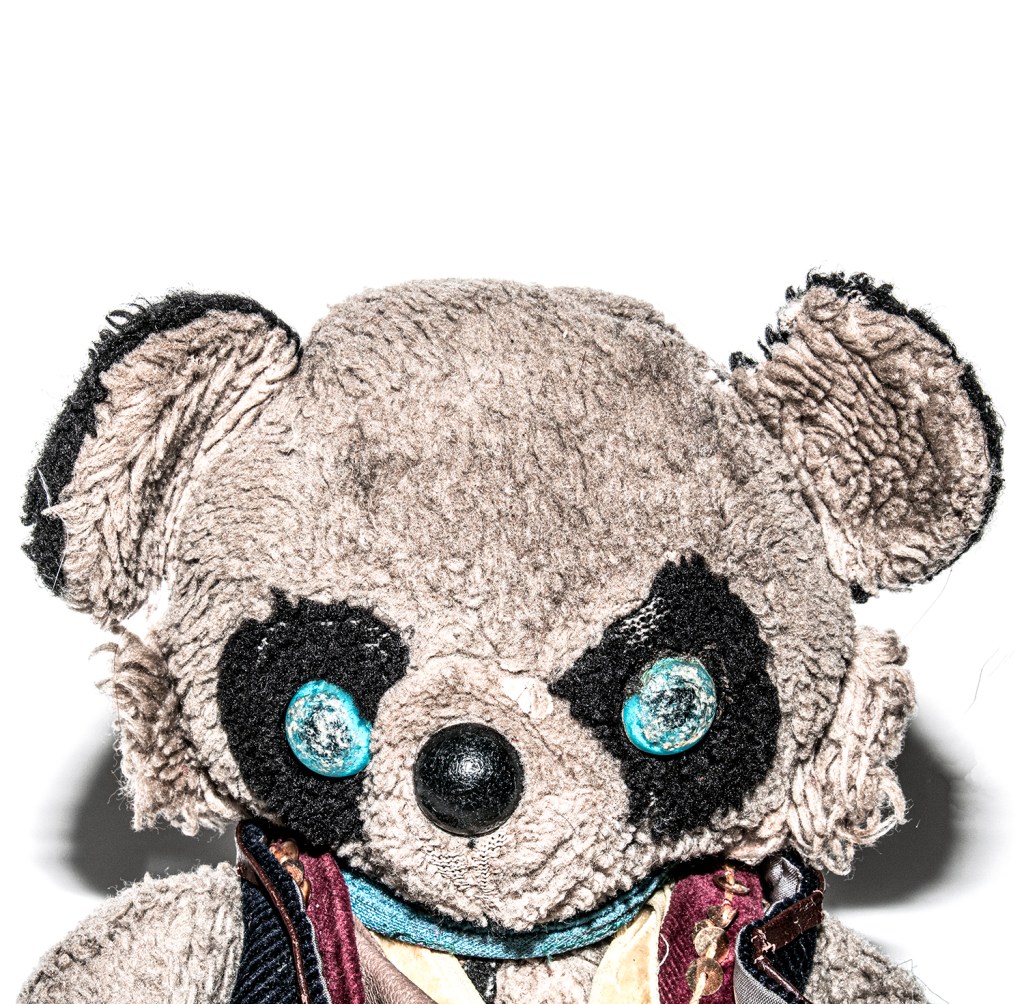 Vintage worn soft toy raccoon portrait photograph by Squeeb Creative
