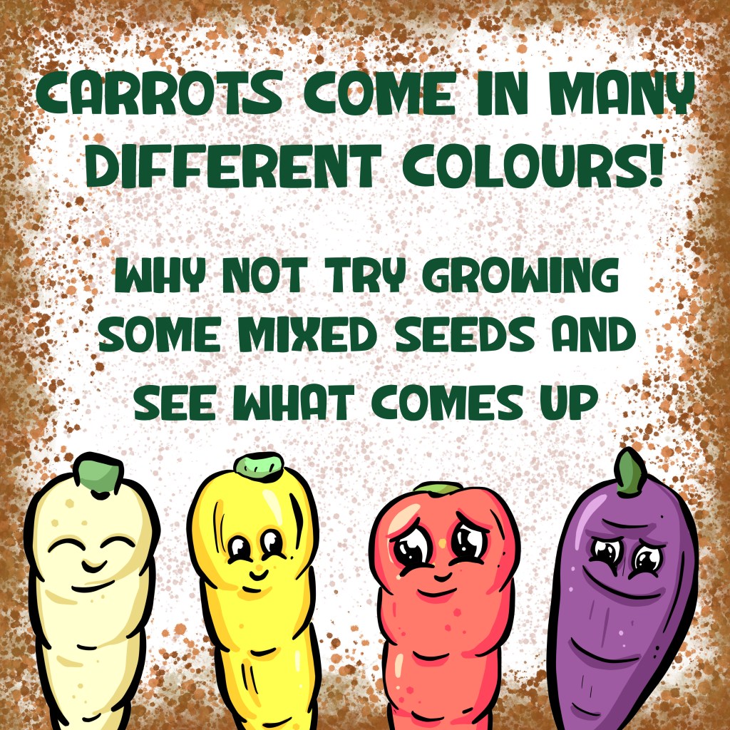 Carrot grow in many colours garden tips toons by Michelle Still