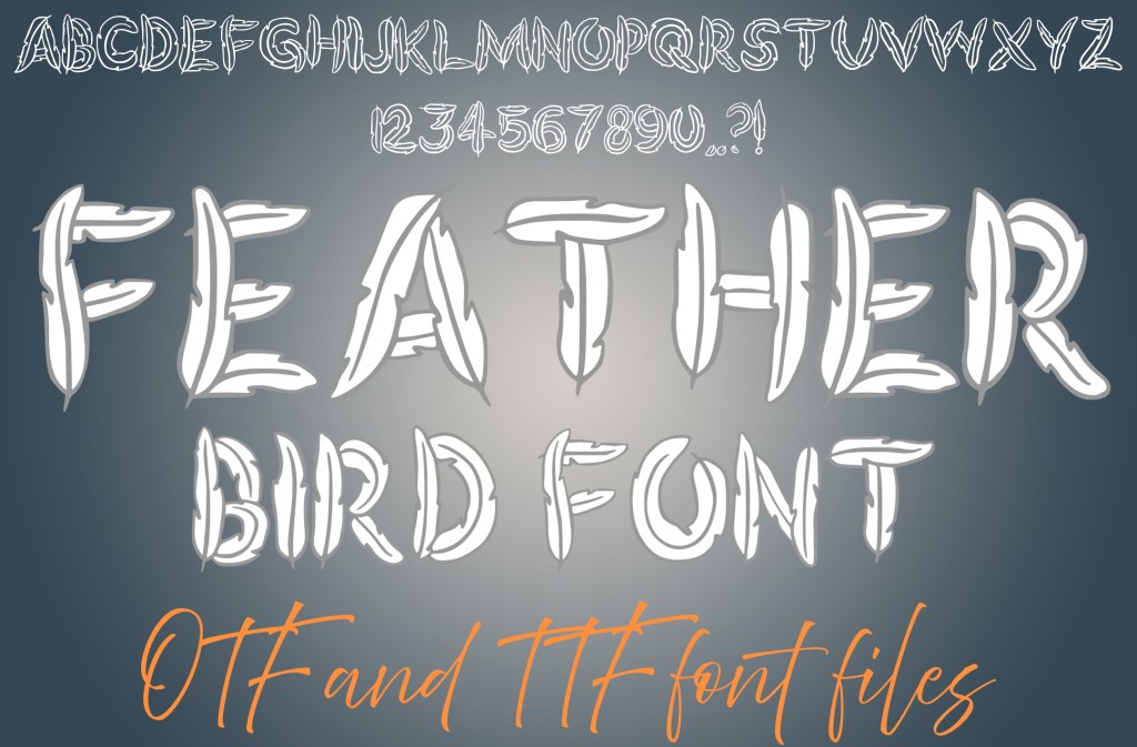Feather Bird Alphabet Lettering ABC Text Font Wings Typeface OTF Illustration by Squeeb Creative social