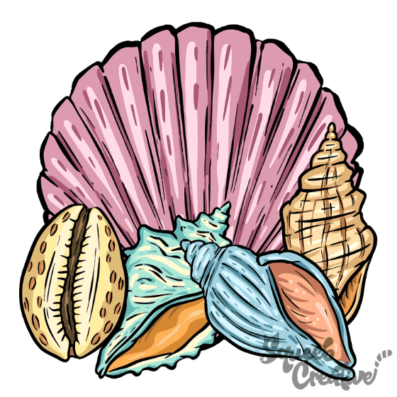 Vibrant Seashell Illustrations&nbsp;Collection